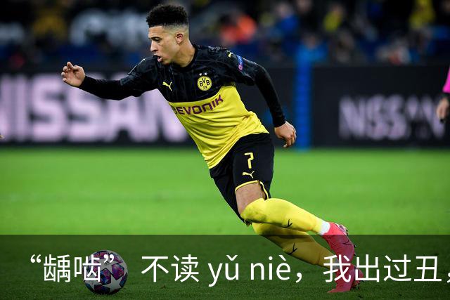 “龋啮” 不读 yǔ niè，我出过丑，现在牢牢记住了!