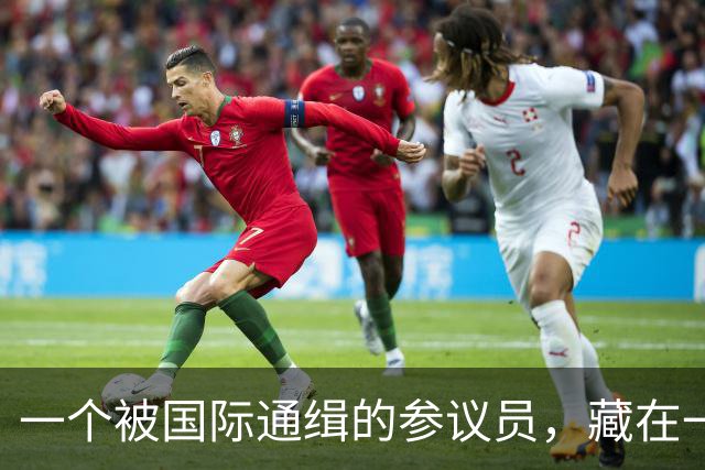 一个被国际通缉的参议员，藏在一个政府不敢去抓的地方