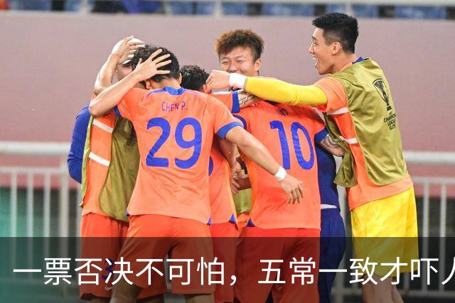 一票否决不可怕，五常一致才吓人，五双手同时举就有国家要变天