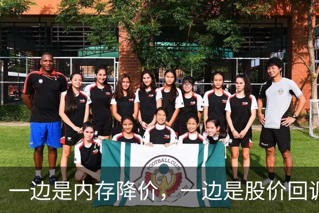 一边是内存降价，一边是股价回调，半导体板块切回业绩驱动