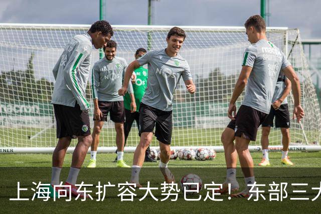 上海向东扩容大势已定！东部三大片区，谁才是发展的核心主力？