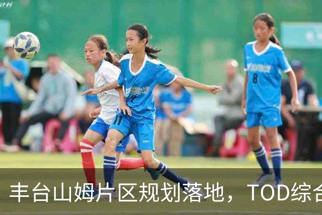 丰台山姆片区规划落地，TOD综合体地铁直达