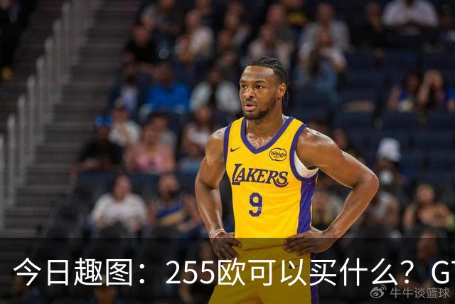 今日趣图：255欧可以买什么？GTA6，航母模型还是一箱养乐多？