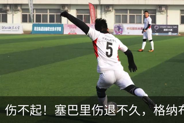 伤不起！塞巴里伤退不久，格纳布里也受伤被换下，斯坦尼西奇登场
