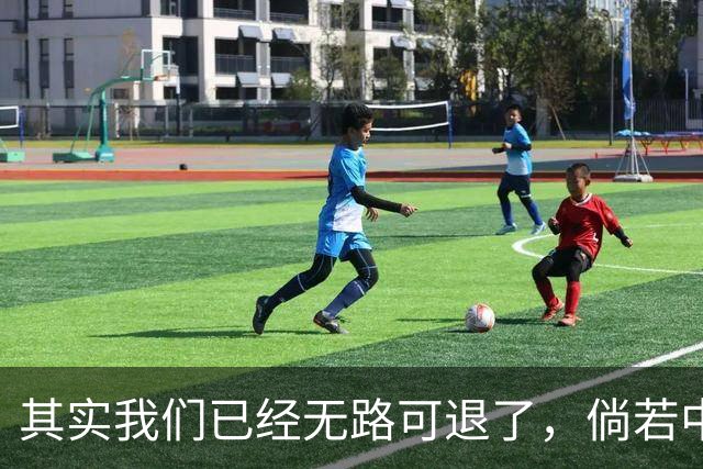 其实我们已经无路可退了，倘若中国再度落后，西方断然不会给我们重新崛起的机会