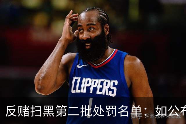 反赌扫黑第二批处罚名单：如公布 应与准入同步