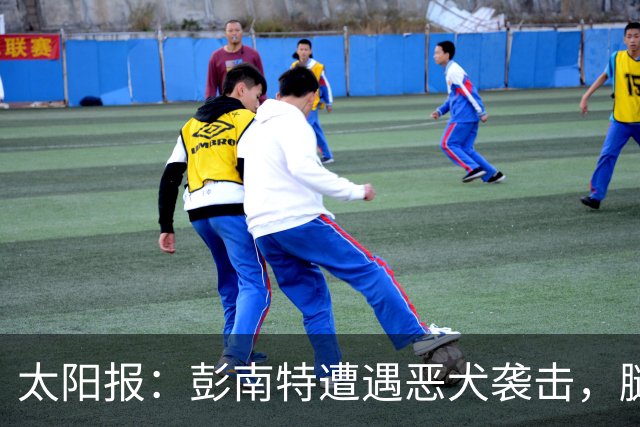 太阳报：彭南特遭遇恶犬袭击，腿部缝50余针，自家爱犬救主