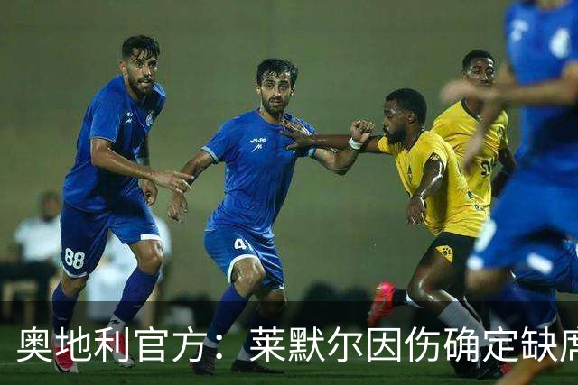 奥地利官方：莱默尔因伤确定缺席前2轮欧国联，但仍可能出战后2轮