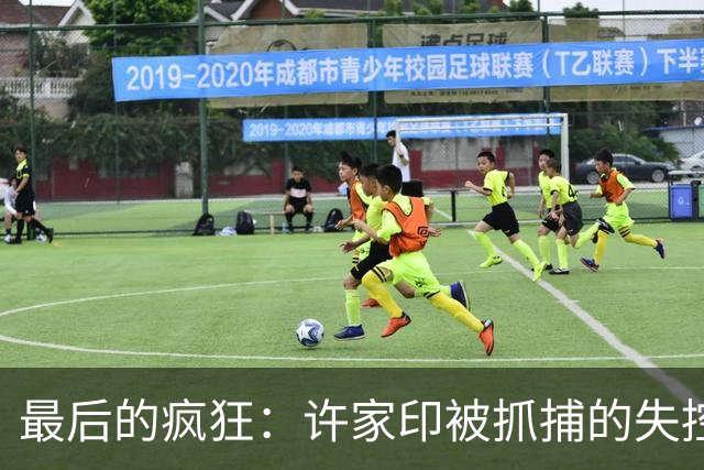 最后的疯狂：许家印被抓捕的失控三秒钟