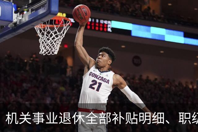 机关事业退休全部补贴明细、职级、年龄、标准一次性讲清楚