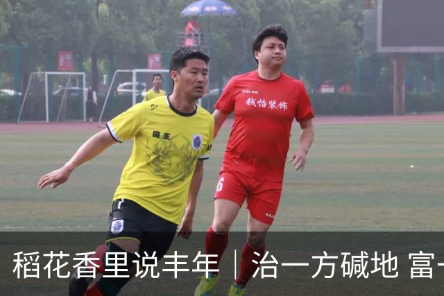 稻花香里说丰年｜治一方碱地 富一方百姓
