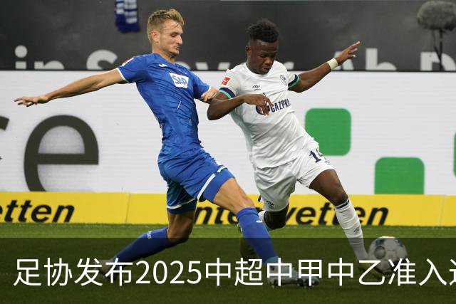 足协发布2025中超中甲中乙准入通知 11.25前提交材料