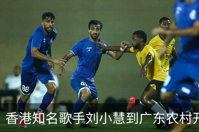 香港知名歌手刘小慧到广东农村开唱，一众黑衣保安护驾排面足！