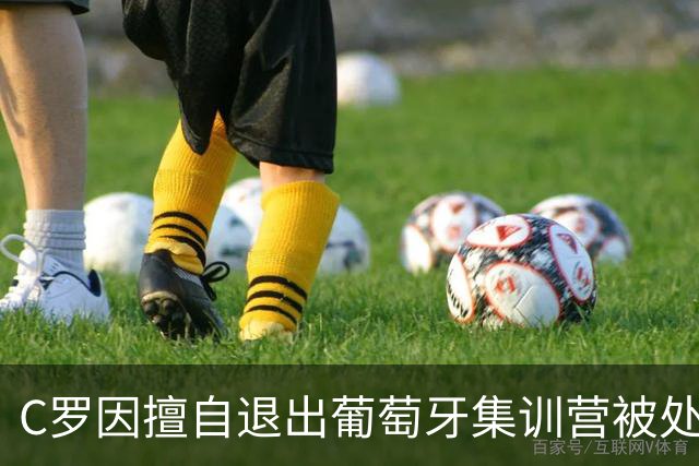 C罗因擅自退出葡萄牙集训营被处以30天禁赛以及罚款255欧；此前C罗道歉，表示随时准备接受征召；葡足协主席：所有人都希望C罗能重返国家队